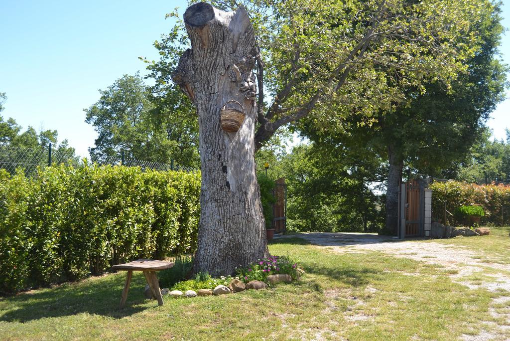 Al Bosco Delle Api Ξενοδοχείο Gallicchio Εξωτερικό φωτογραφία