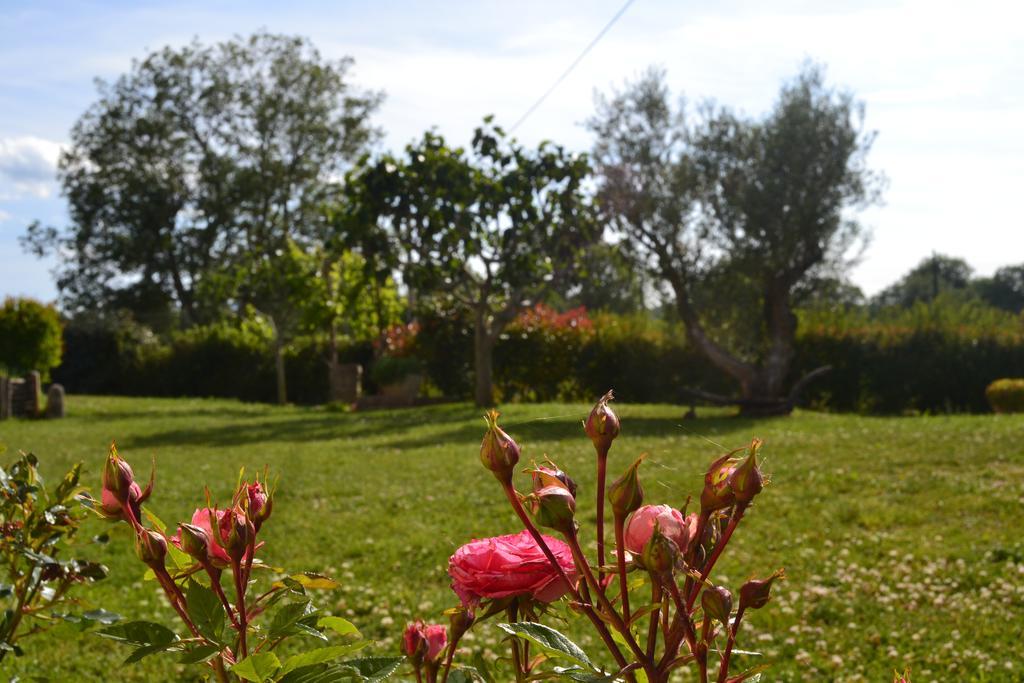 Al Bosco Delle Api Ξενοδοχείο Gallicchio Εξωτερικό φωτογραφία